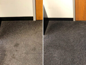 carpet comparison